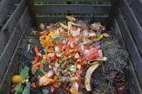 abfälle auf kompost