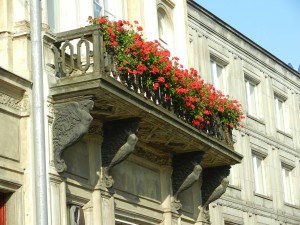 balkon mit geranien