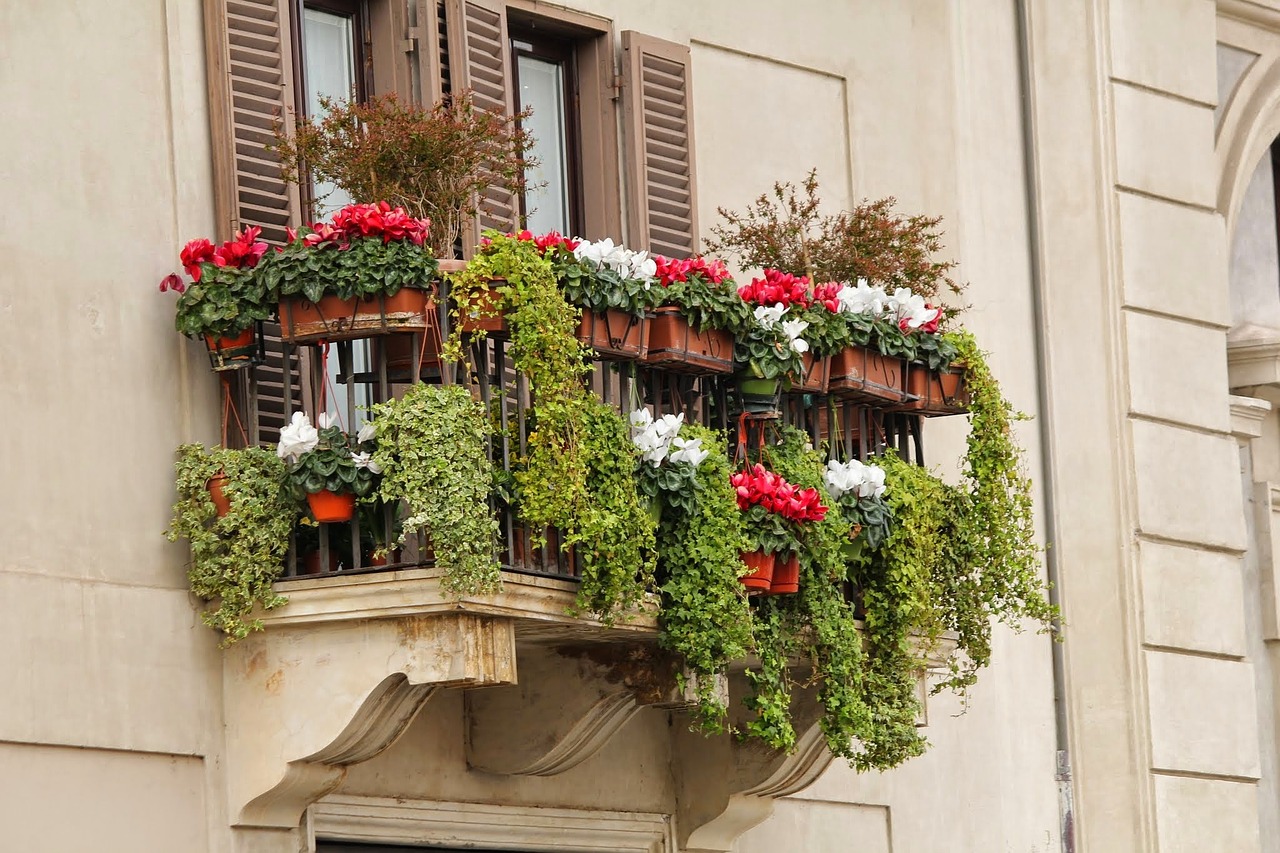 Balkonkästen bepflanzen Tipps
